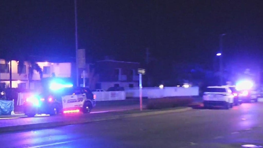 Woman accused of killing man in Dania Beach hit-and-run, BSO says — CBS Miami, Los Altos Community news