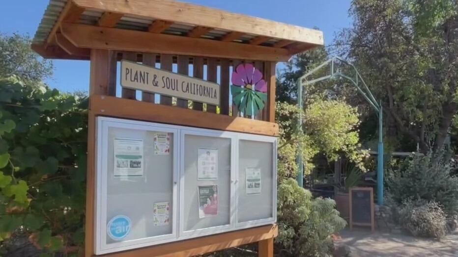 San Jose community garden told to leave as land is sold to developer — CBS Bay Area (KPIX), Los Altos Real Estate news