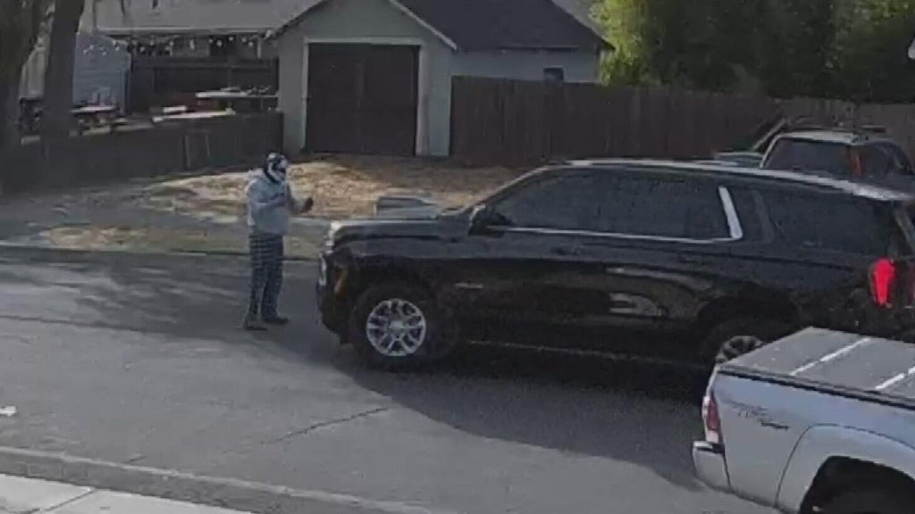 Woodland police dispute DHS account of ICE agent's collision with pedestrian — CBS Bay Area (KPIX), Los Altos Health news