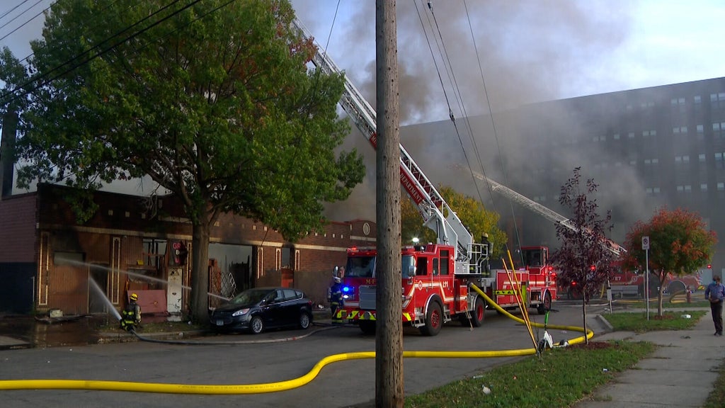 2 Minneapolis firefighters hurt in East Franklin Avenue business fire — WCCO / CBS Minnesota, Los Altos Health news