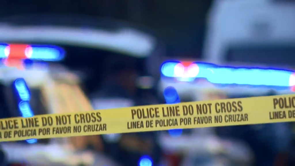 Man accused of stabbing, killing his own mother in Tamarac, BSO says — CBS Miami, Los Altos Health news