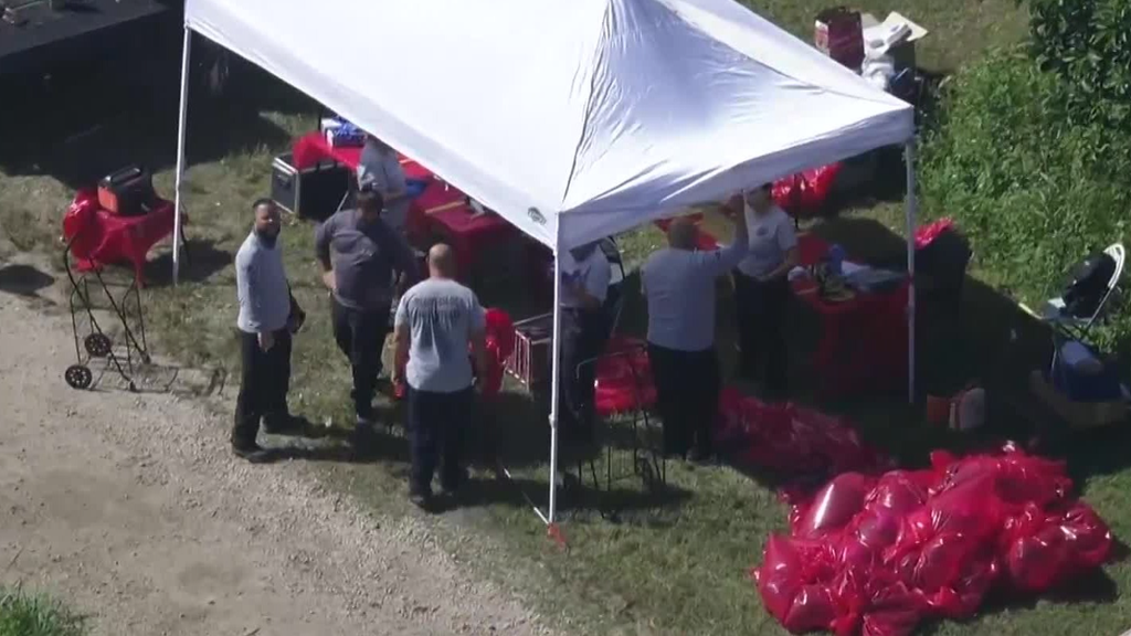 Family, friends of two men charged in Miami-Dade cockfighting case say allegations are false — CBS Miami, Los Altos Real Estate news