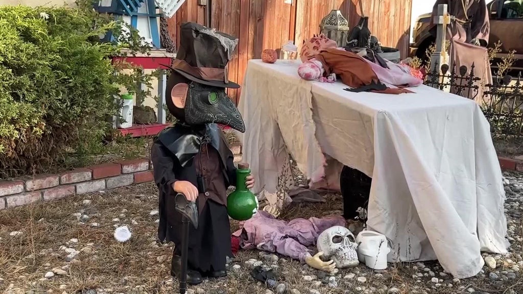 Halloween decorations worth roughly $700 stolen from San Leandro home — CBS Bay Area (KPIX), Los Altos Schools news