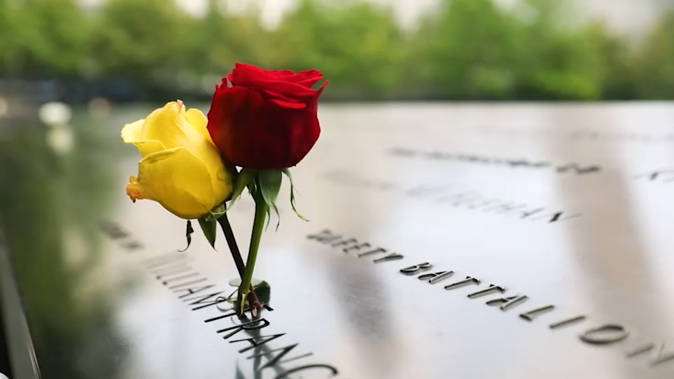 Second 9/11 victim identified with breakthrough genetic genealogy, NYC officials say
— ABC 7 Bay Area, Los Altos Community news