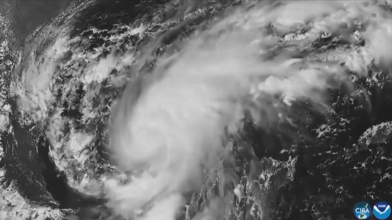 Hurricane Isaias: Residents board up windows and National Guard troops deploy as storm nears US Gulf Coast
— ABC 7 Bay Area, Los Altos Sports news