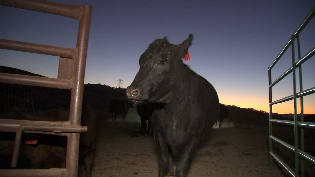 PG&E Public Safety Power Shutoffs leave Bay Area ranchers, residents frustrated
— ABC 7 Bay Area, Los Altos Community news