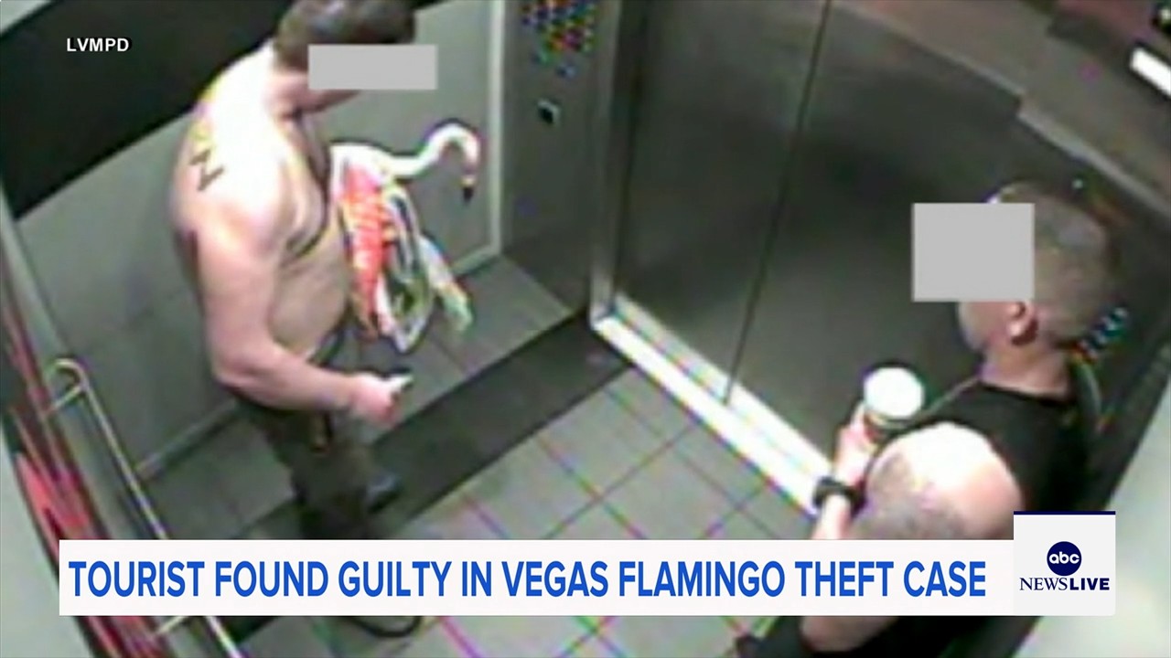 Man who snatched Peachy the flamingo from Las Vegas hotel exhibit found guilty of animal cruelty
— ABC 7 Bay Area, Los Altos Arts news