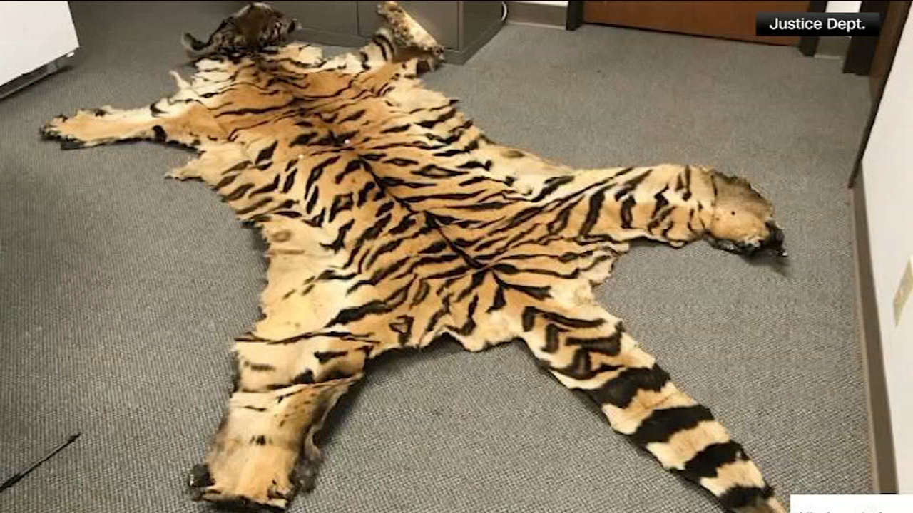 California couple pleads guilty to trafficking wildlife
       — Los Altos Community news
