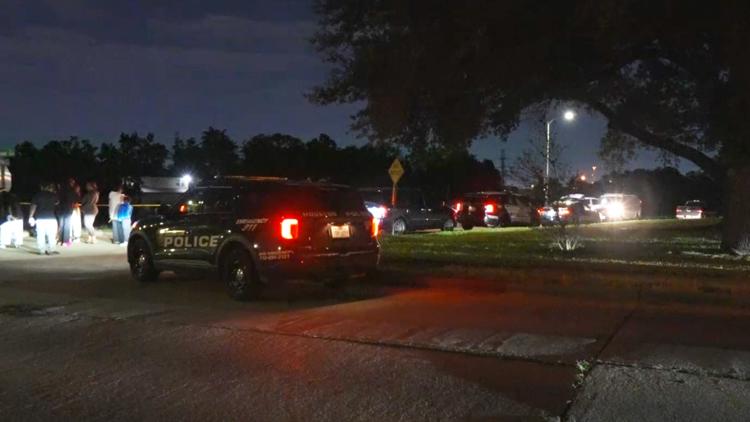HPD: Man dies after going for swim in Sims Bayou in southeast Houston — KHOU 11 (Houston), Los Altos Sports news