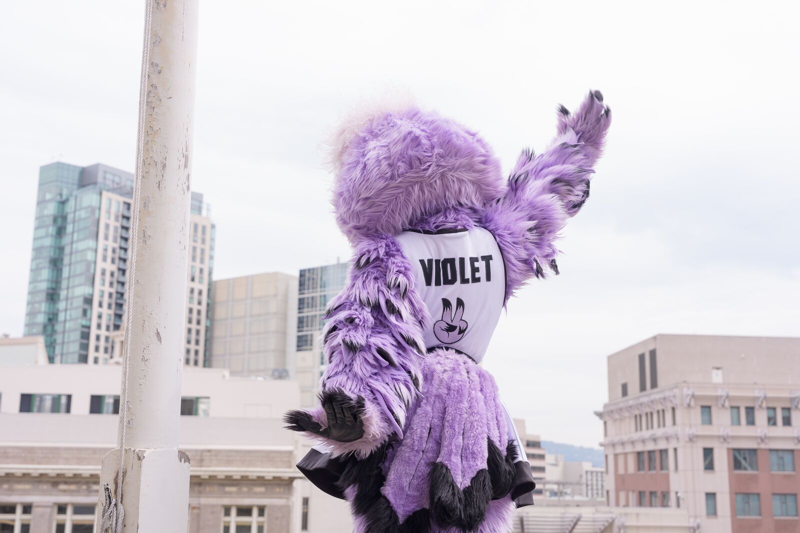 This week in Oakland: an outdoor Valkyries watch party, and singersongwriter Laura Anglade at Yoshi’s — The Oaklandside, Los Altos Arts news