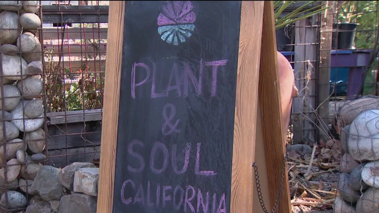 San Jose community garden faces possible eviction — KTVU FOX 2 Bay Area, Los Altos Schools news