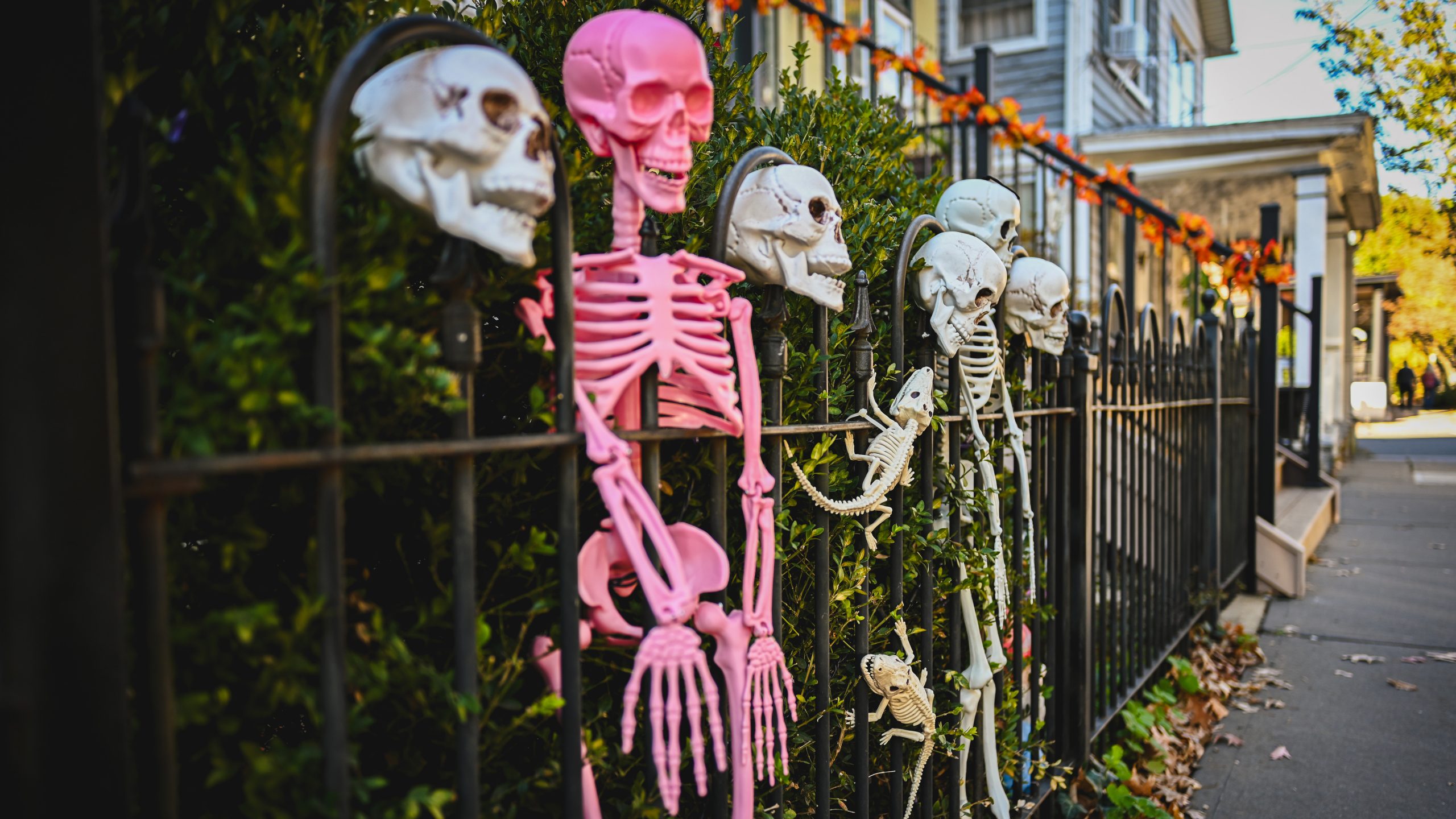 America's best cities for Halloween, ranked — KTVU FOX 2 Bay Area, Los Altos Community news